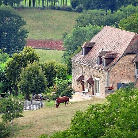 Le Domaine Du Cerneau Bed & Breakfast Nailhac Exterior foto