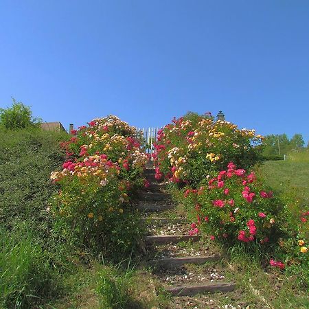 Le Domaine Du Cerneau Bed & Breakfast Nailhac Exterior foto