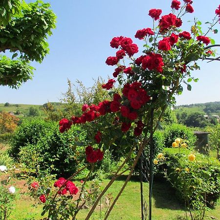 Le Domaine Du Cerneau Bed & Breakfast Nailhac Exterior foto