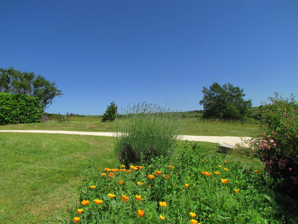 Le Domaine Du Cerneau Bed & Breakfast Nailhac Exterior foto