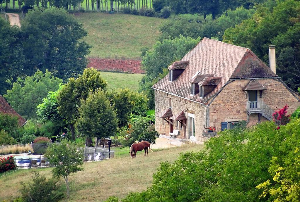 Le Domaine Du Cerneau Bed & Breakfast Nailhac Exterior foto