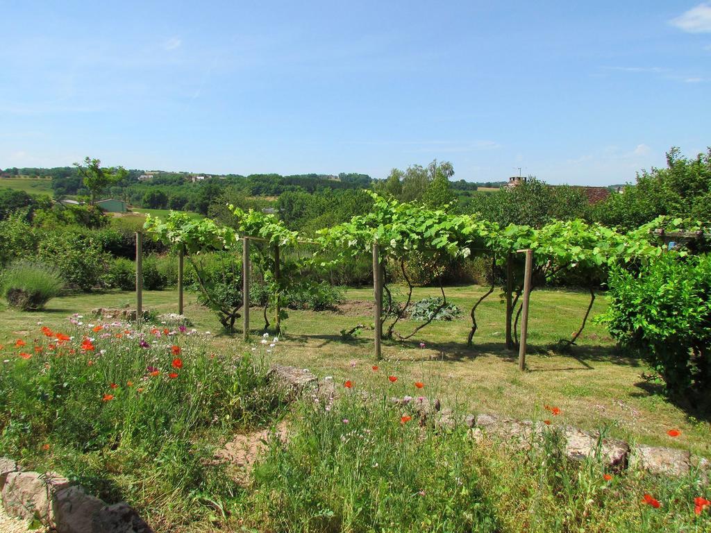 Le Domaine Du Cerneau Bed & Breakfast Nailhac Exterior foto