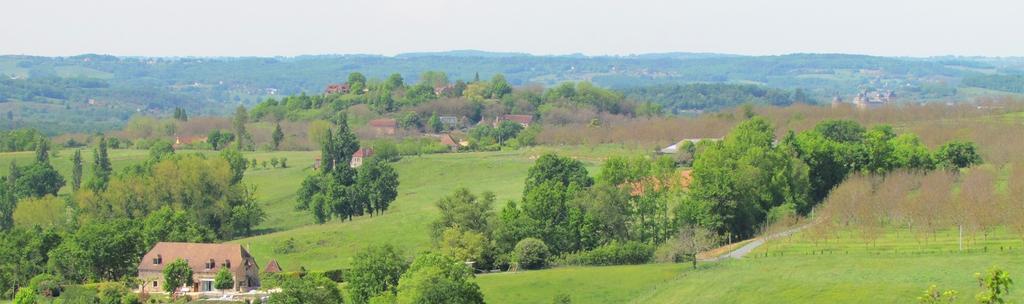 Le Domaine Du Cerneau Bed & Breakfast Nailhac Exterior foto