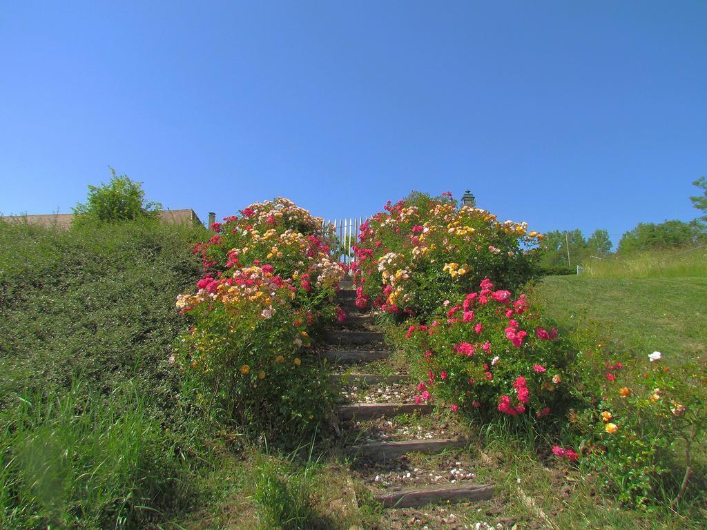 Le Domaine Du Cerneau Bed & Breakfast Nailhac Exterior foto