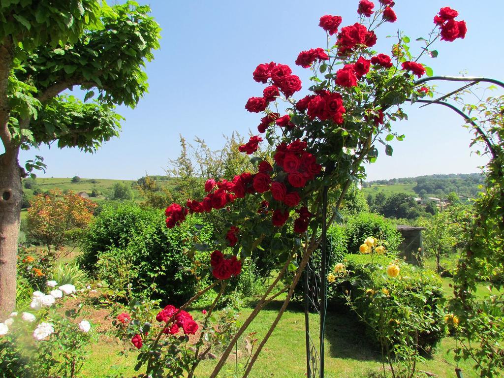 Le Domaine Du Cerneau Bed & Breakfast Nailhac Exterior foto