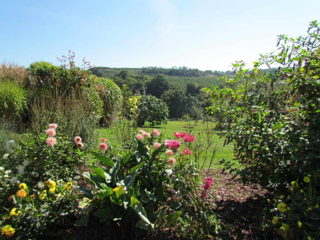 Le Domaine Du Cerneau Bed & Breakfast Nailhac Exterior foto